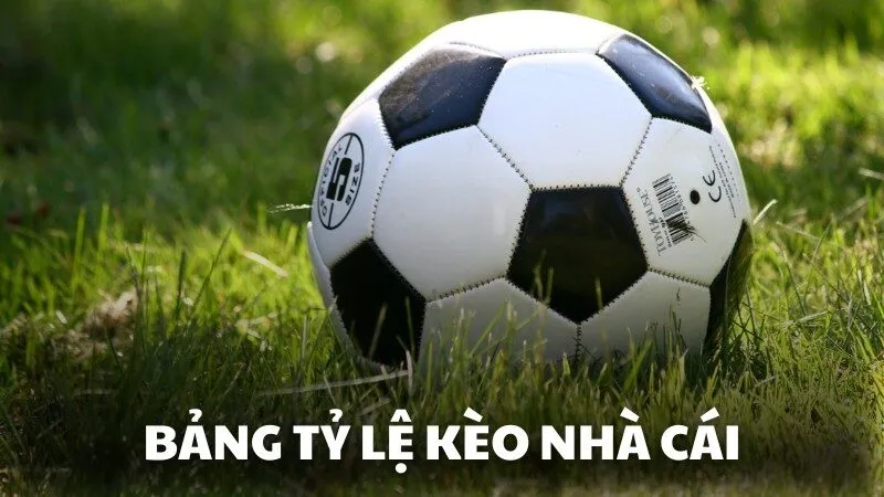 Bảng tỷ lệ kèo nhà cái