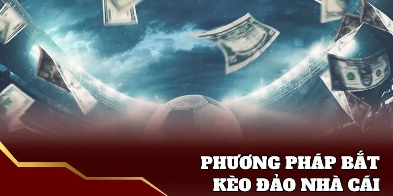 Bí quyết bắt kèo đảo siêu hay