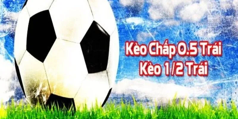 Cách tính tỷ lệ kèo chấp nửa trái