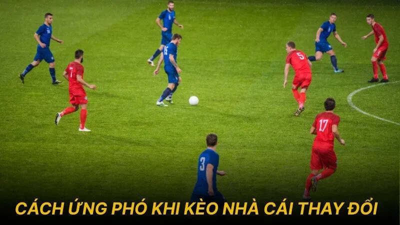 Cách ứng phó khi kèo nhà cái thay đổi