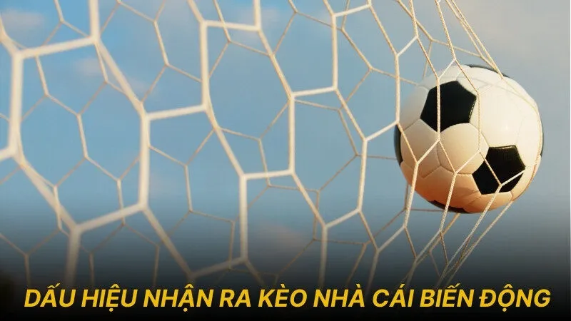 Dấu hiệu nhận ra kèo nhà cái biến động