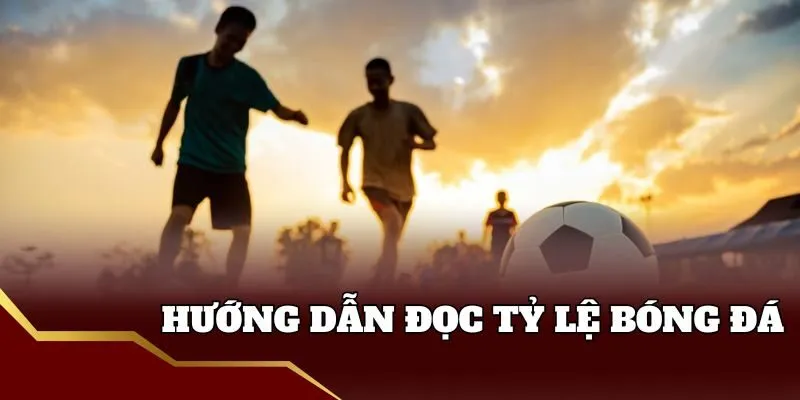Hướng dẫn đọc tỷ lệ bóng đá nổi bật