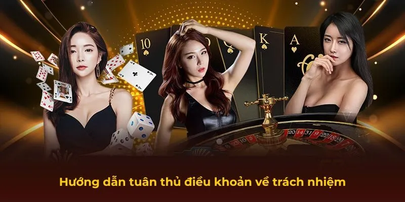 Hướng dẫn tuân thủ điều khoản về trách nhiệm