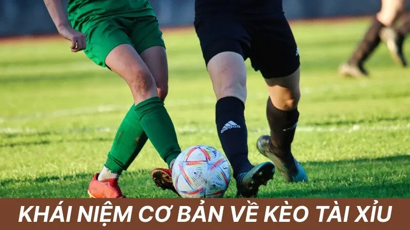Khái niệm cơ bản về kèo tài xỉu