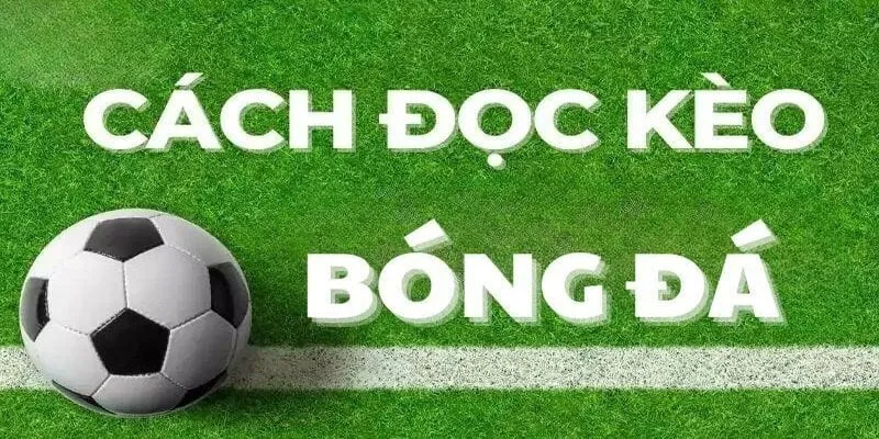 Kinh nghiệm khi đọc kèo của các cao thủ