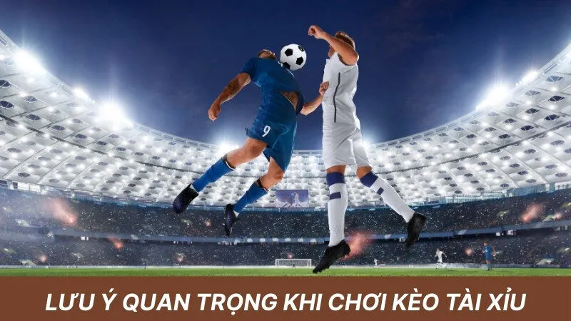 Lưu ý quan trọng khi chơi kèo tài xỉu