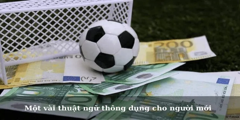 Một vài thuật ngữ thông dụng cho người mới