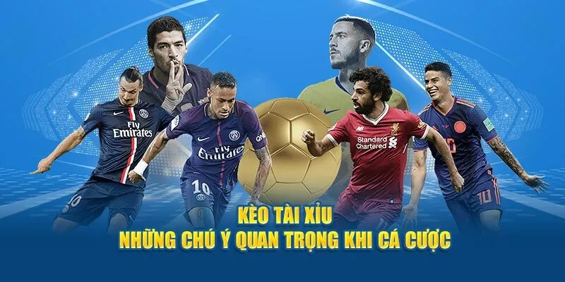 Nhận Biết Tỷ Lệ Kèo Tài Xỉu