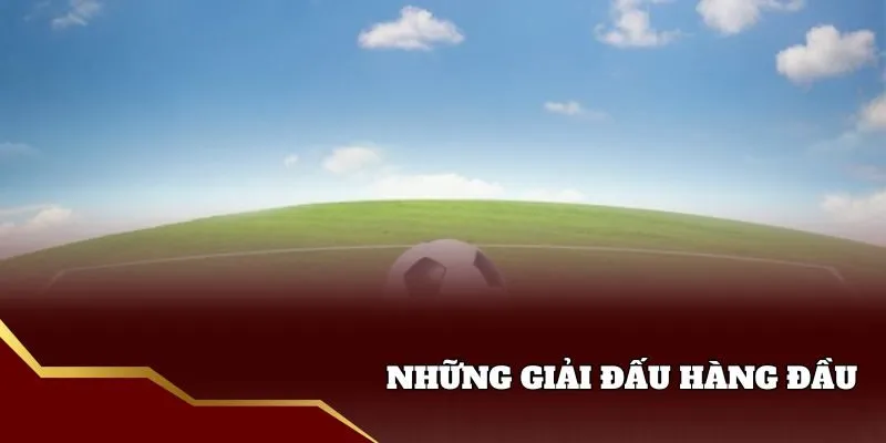 Những giải đấu tại trang kết quả bóng đá