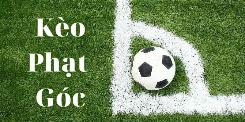 Kinh nghiệm phân tích kèo phạt góc từ các cao thủ hàng đầu tại Sin88