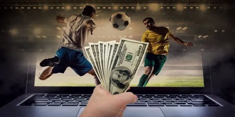Tổng hợp những lưu ý quan trọng khi thành viên soi kèo bóng đá