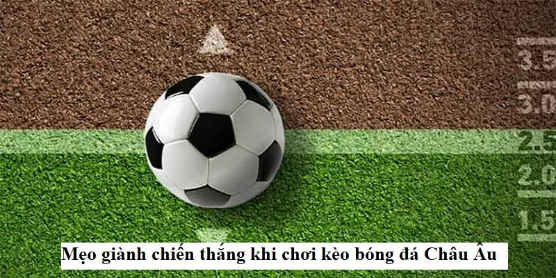 Hướng dẫn tân thủ cách soi kèo châu Âu hiệu quả