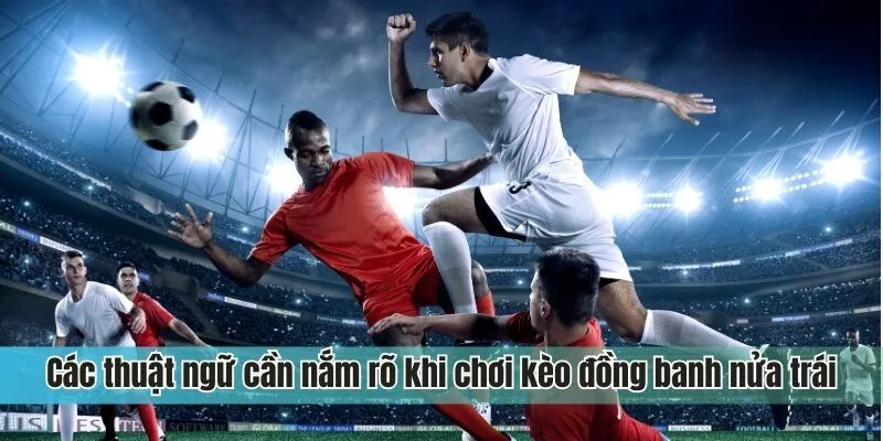 Các thuật ngữ cần nắm rõ khi chơi kèo đồng banh nửa trái