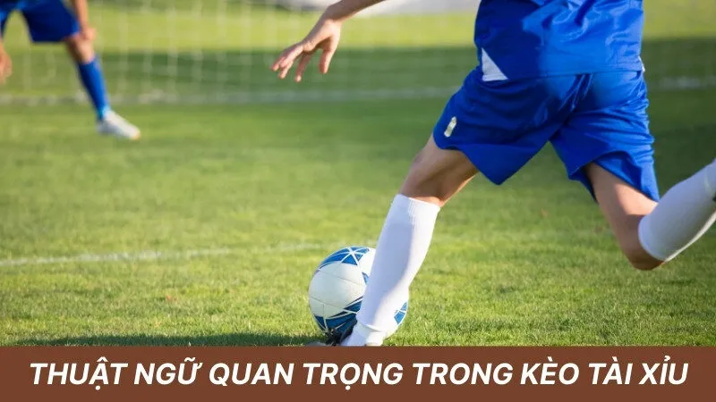 Thuật ngữ trong kèo tài xỉu cần biết