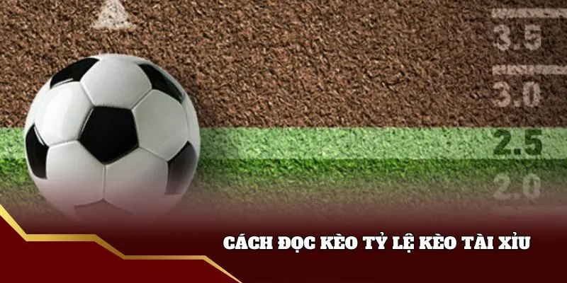 Tìm hiểu tỷ lệ kèo tài xỉu