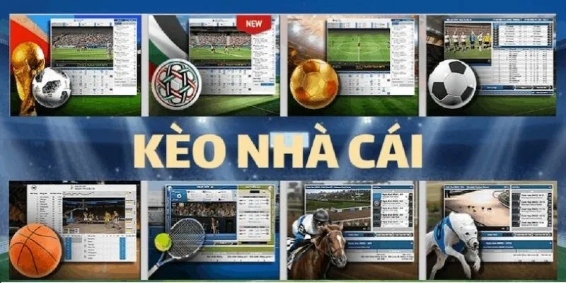 Tổng hợp các kèo nhà cái phổ biến