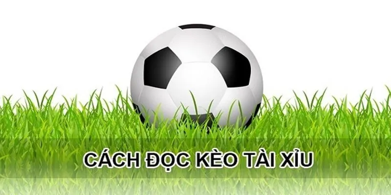 Giới thiệu về cách đọc kèo bóng đá